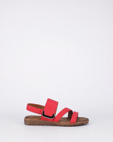 Flinders - Coral