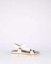 Harbour - White