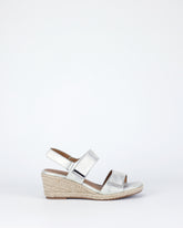 Teach - Silver Shimmer