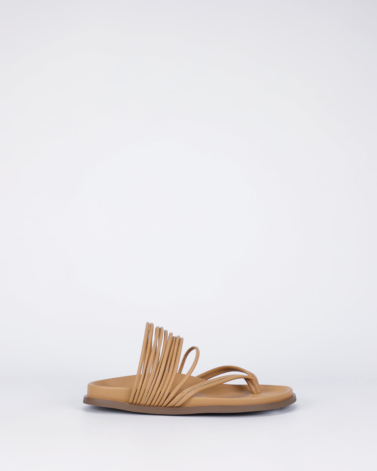 Carmidy - Camel