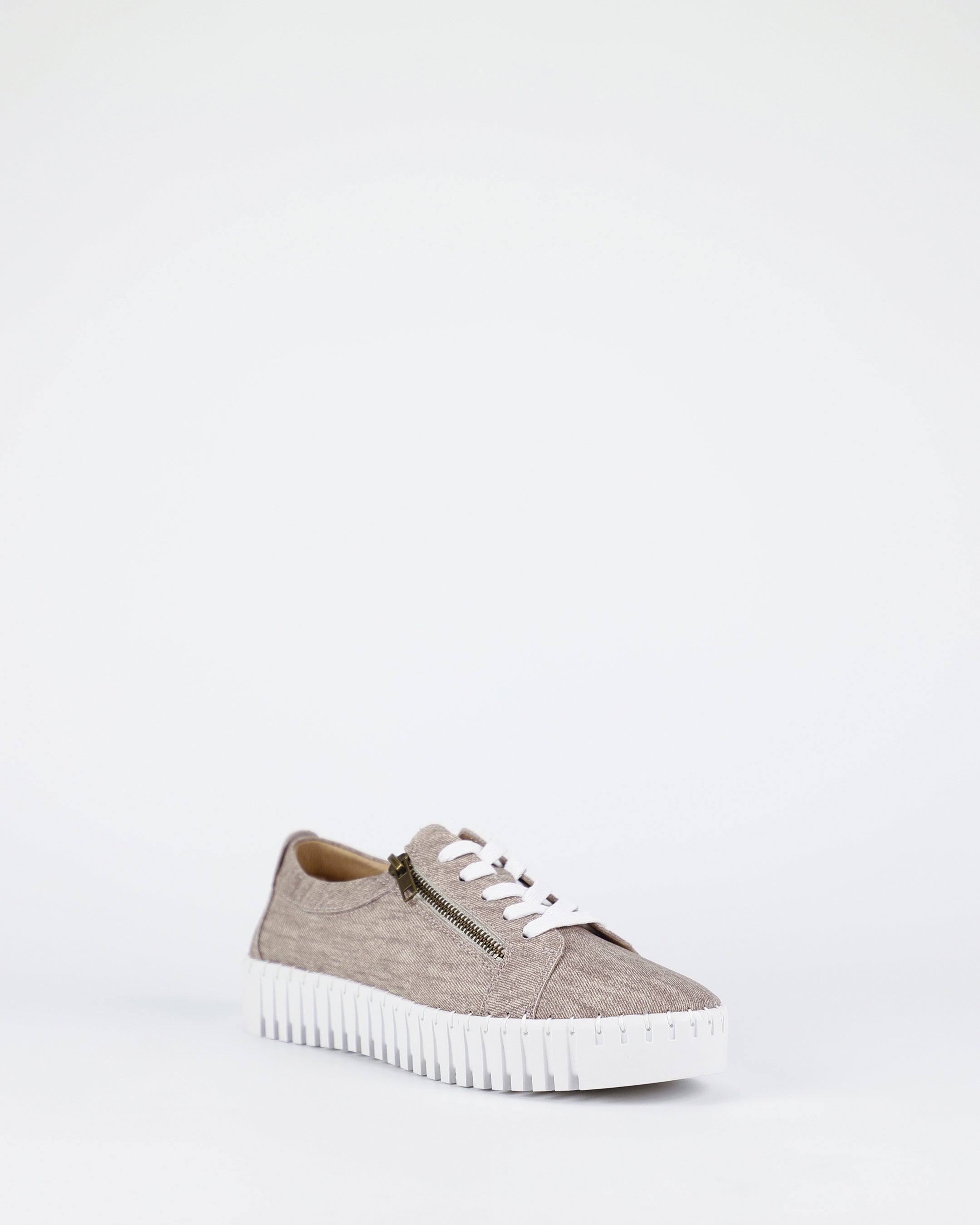New Medusa - Latte Twill