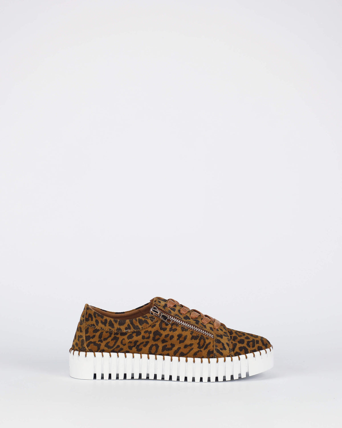 New Medusa - Leopard
