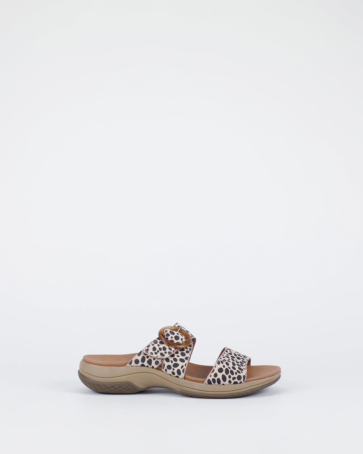 Tacoma - Cheetah