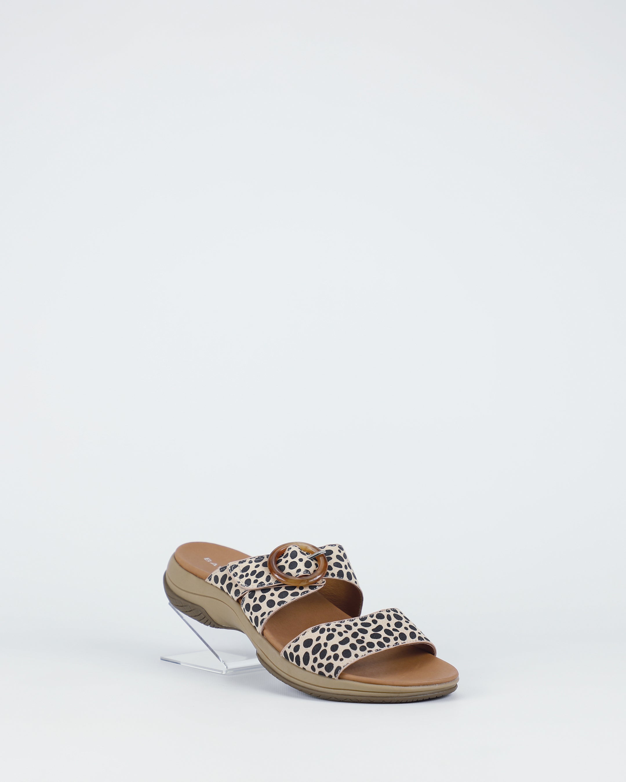 Tacoma - Cheetah