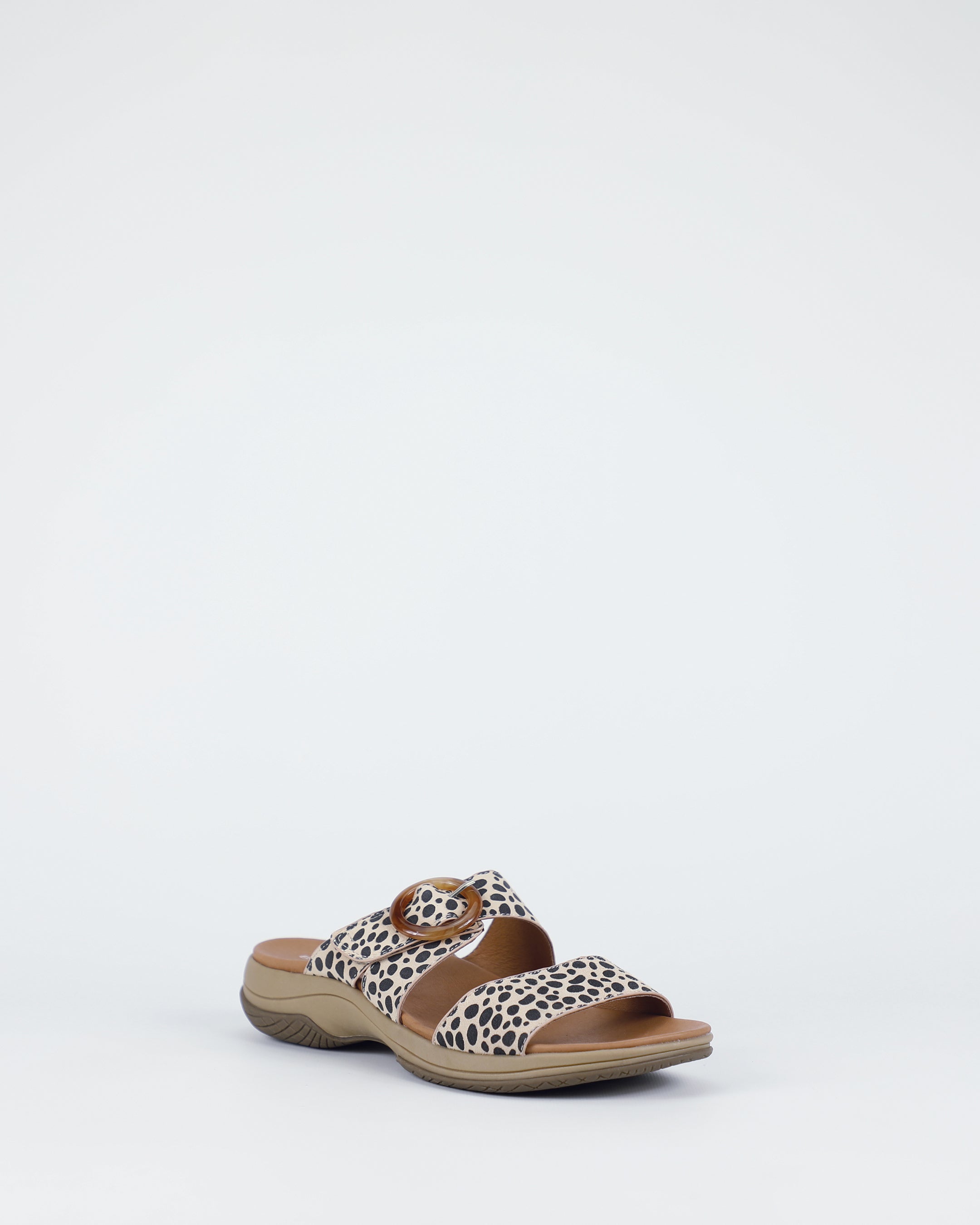 Tacoma - Cheetah