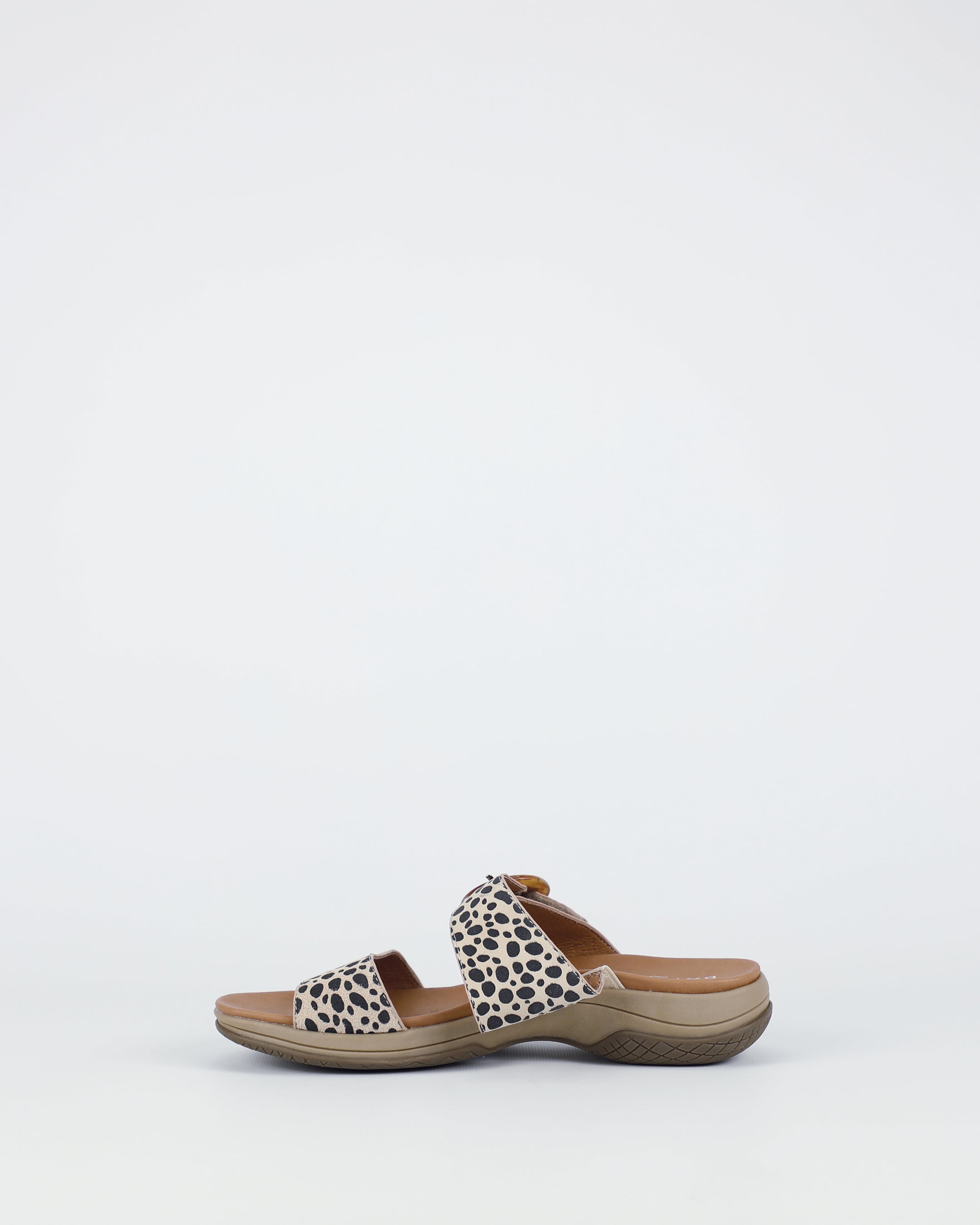 Tacoma - Cheetah