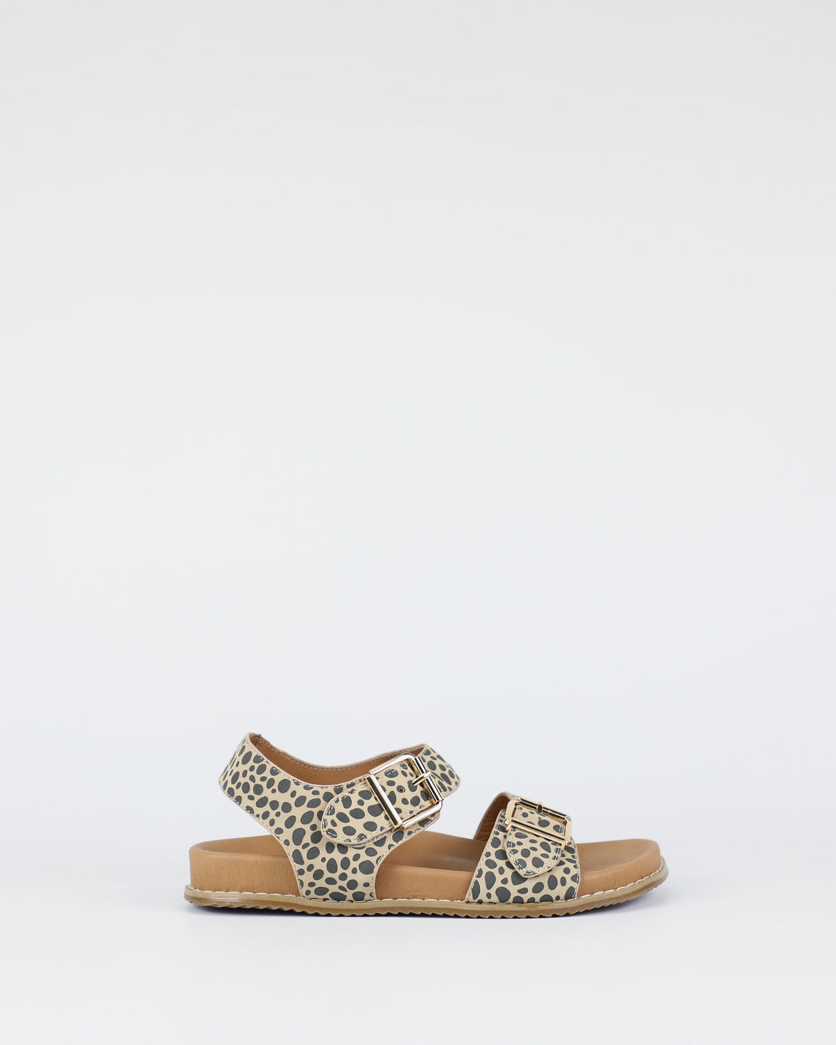 Zeus - Cheetah