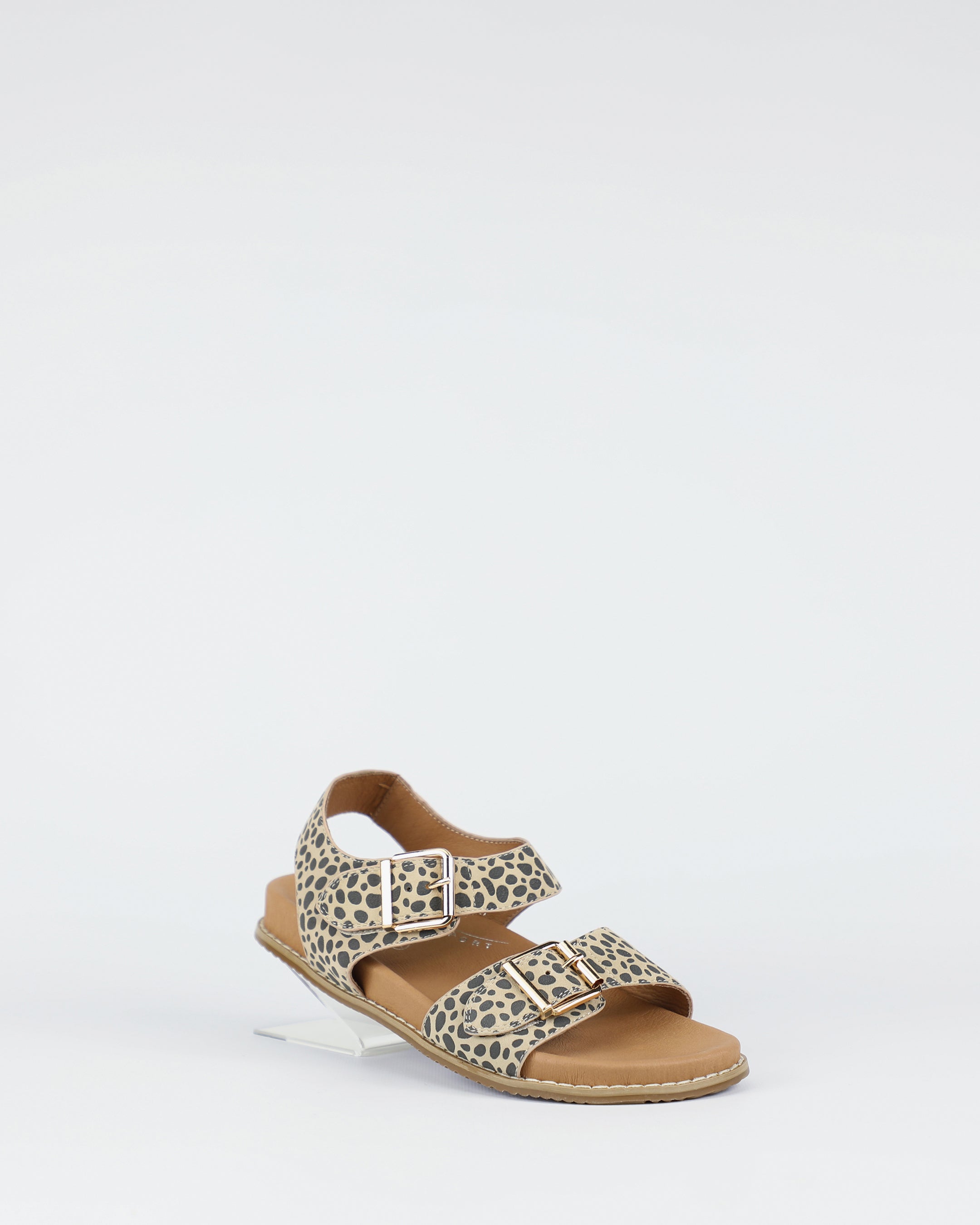 Zeus - Cheetah