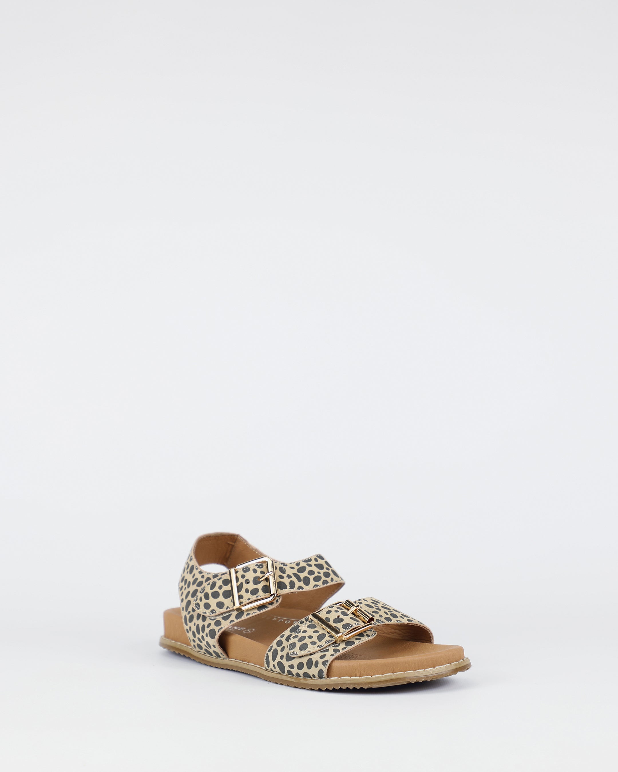 Zeus - Cheetah