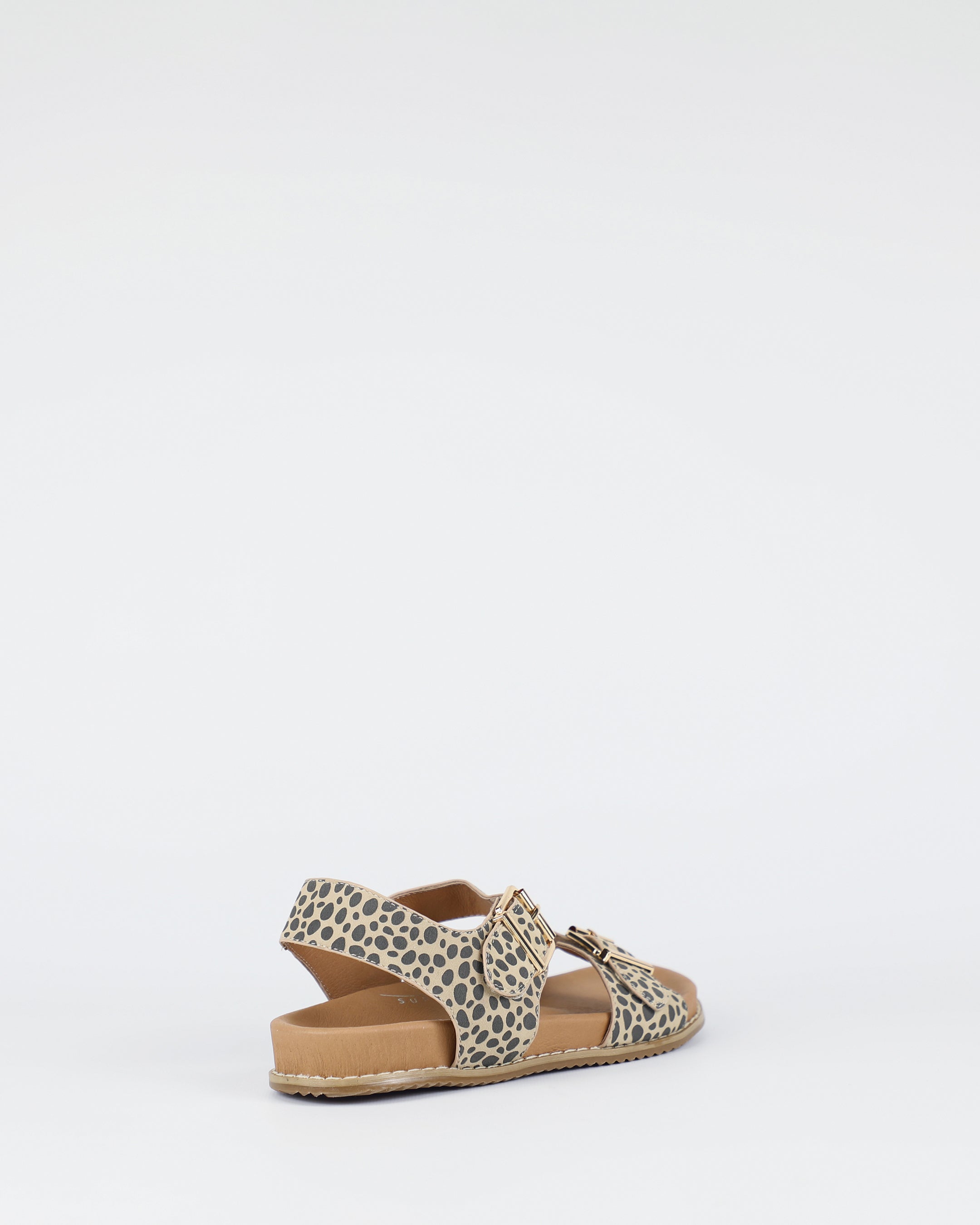 Zeus - Cheetah