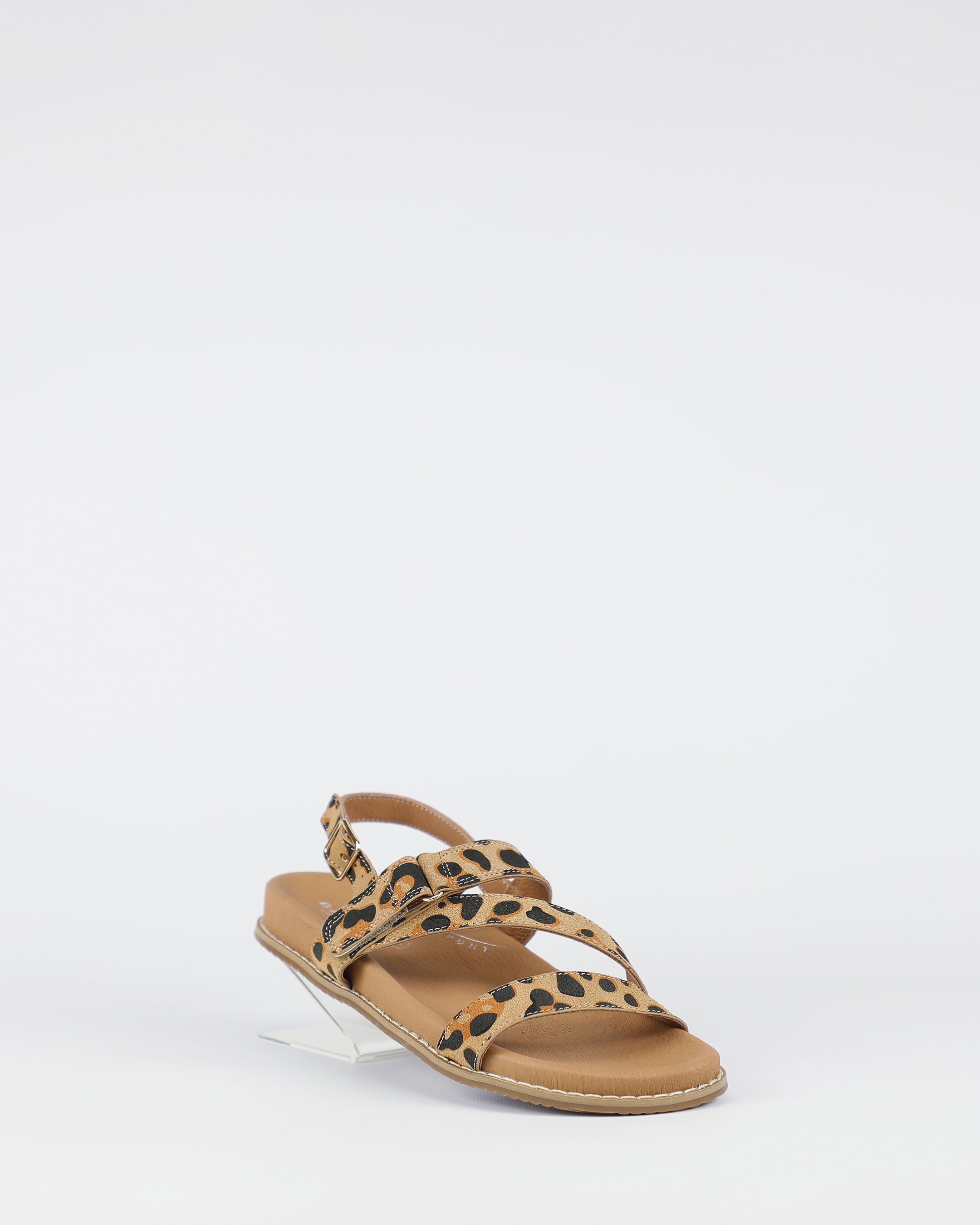 Zorba - Leopard