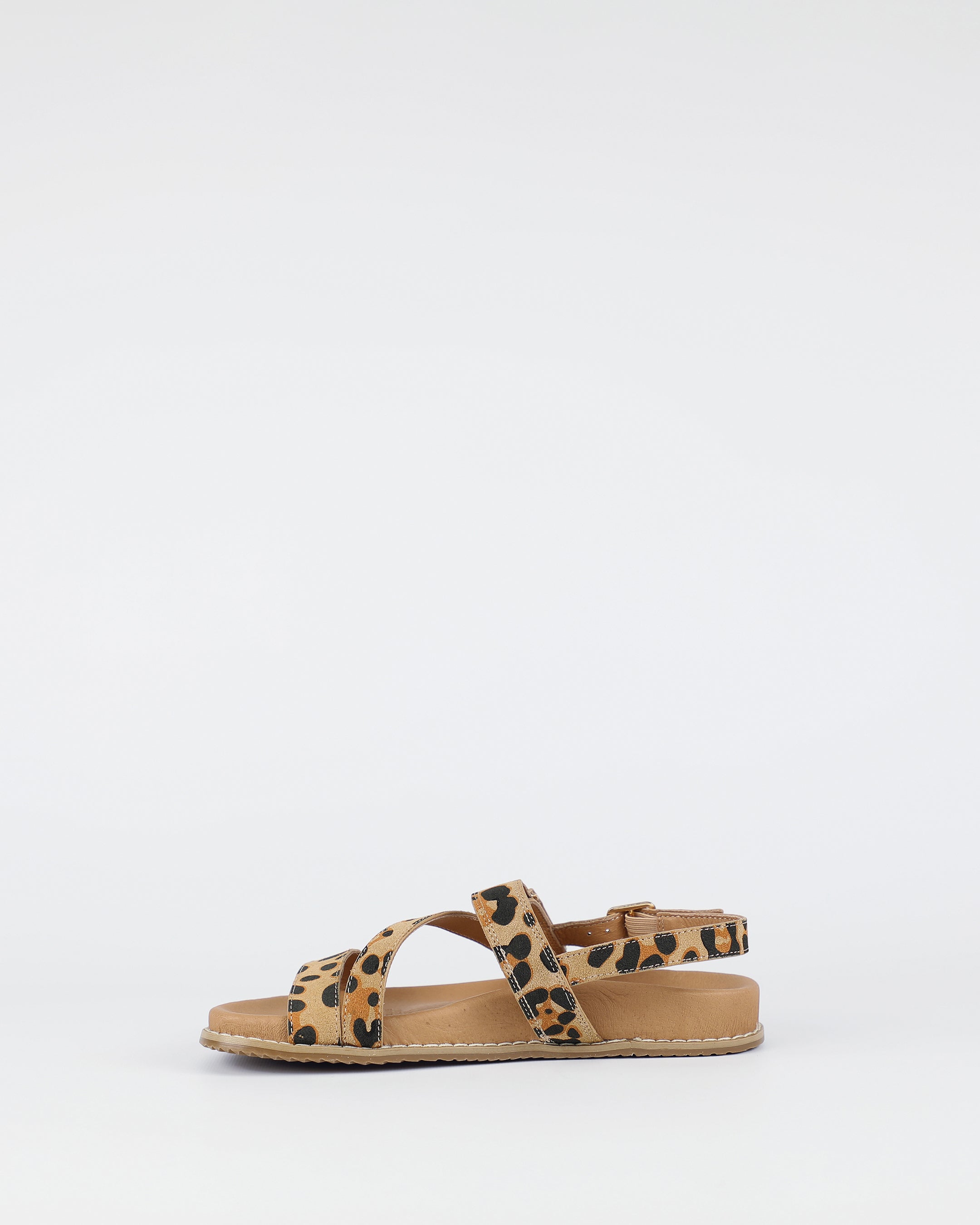 Zorba - Leopard